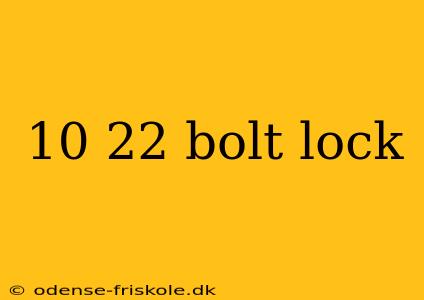 10 22 bolt lock