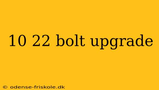 10 22 bolt upgrade