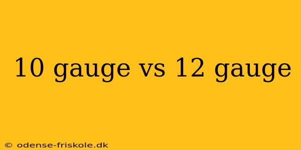 10 gauge vs 12 gauge