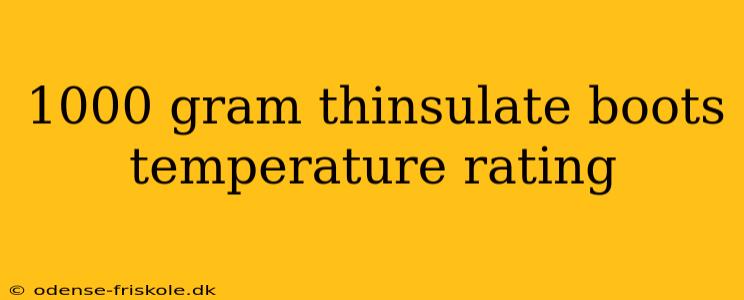 1000 gram thinsulate boots temperature rating