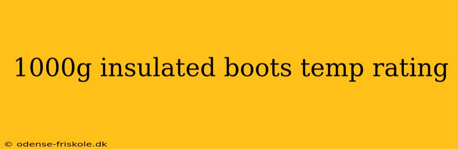 1000g insulated boots temp rating