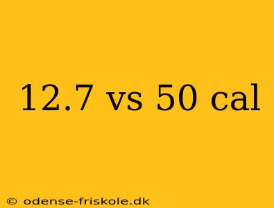 12.7 vs 50 cal