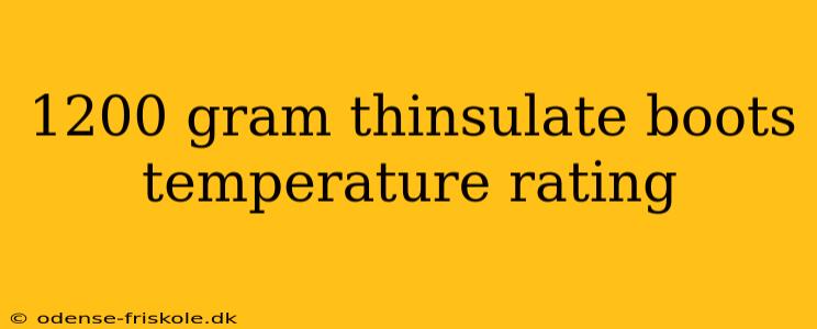 1200 gram thinsulate boots temperature rating