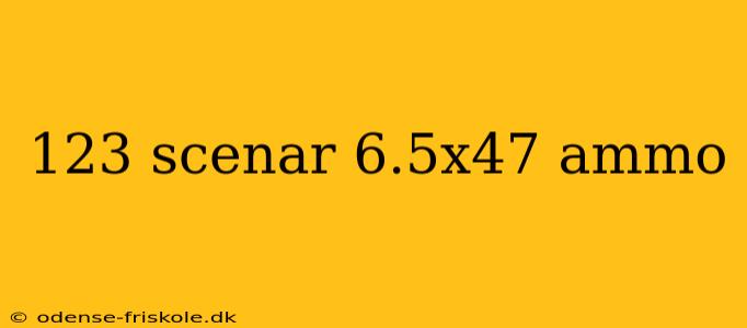 123 scenar 6.5x47 ammo