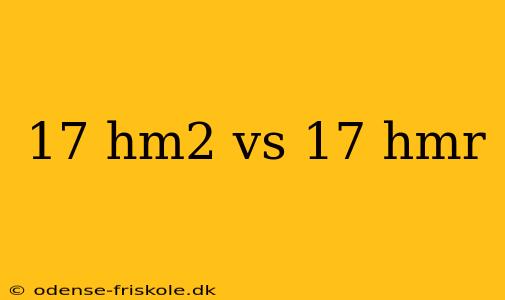 17 hm2 vs 17 hmr