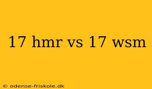 17 hmr vs 17 wsm