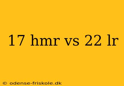 17 hmr vs 22 lr