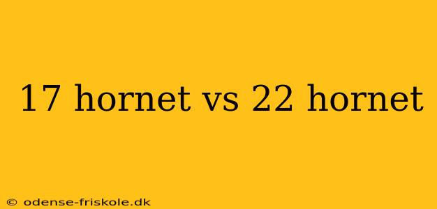 17 hornet vs 22 hornet