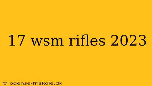 17 wsm rifles 2023