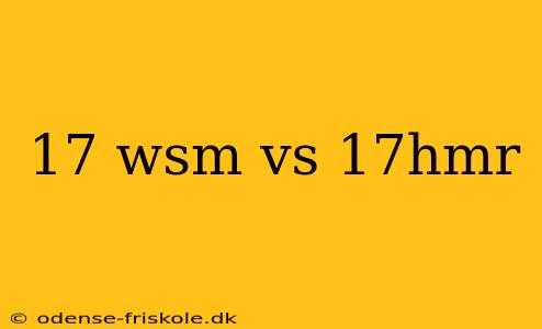 17 wsm vs 17hmr