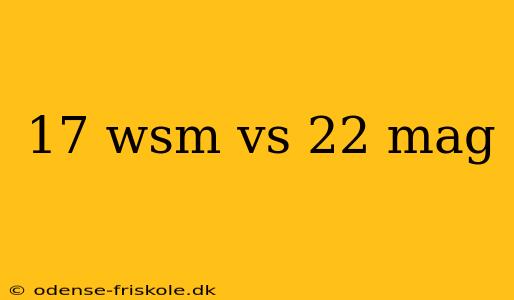 17 wsm vs 22 mag