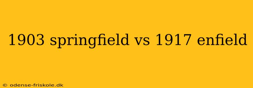 1903 springfield vs 1917 enfield