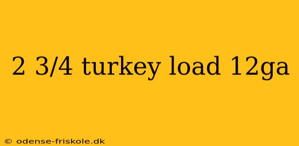 2 3/4 turkey load 12ga