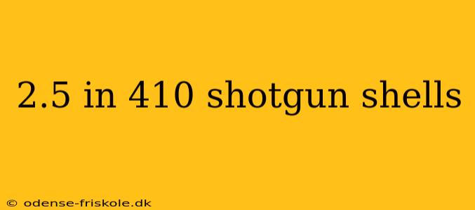 2.5 in 410 shotgun shells