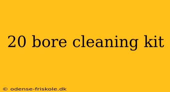 20 bore cleaning kit