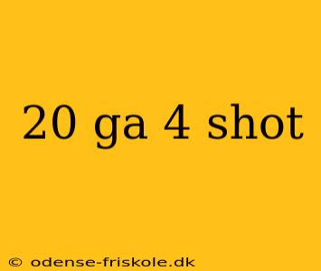 20 ga 4 shot