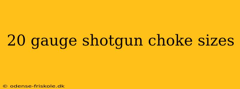 20 gauge shotgun choke sizes