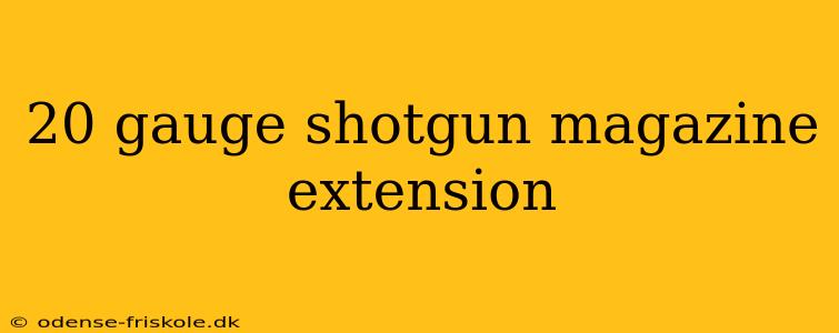 20 gauge shotgun magazine extension