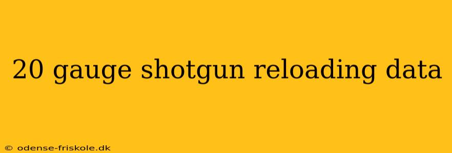 20 gauge shotgun reloading data