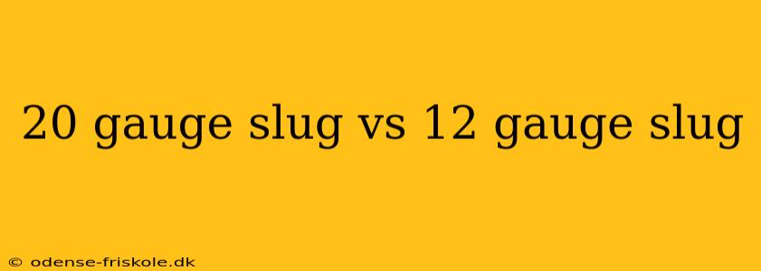 20 gauge slug vs 12 gauge slug