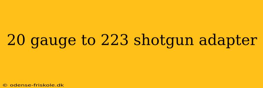 20 gauge to 223 shotgun adapter