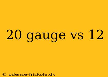 20 gauge vs 12