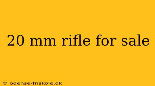 20 mm rifle for sale