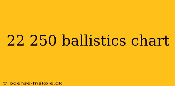 22 250 ballistics chart