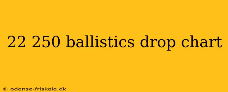 22 250 ballistics drop chart