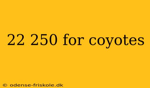 22 250 for coyotes