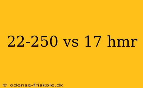 22-250 vs 17 hmr