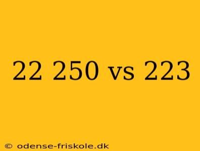 22 250 vs 223