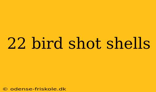 22 bird shot shells