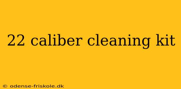 22 caliber cleaning kit