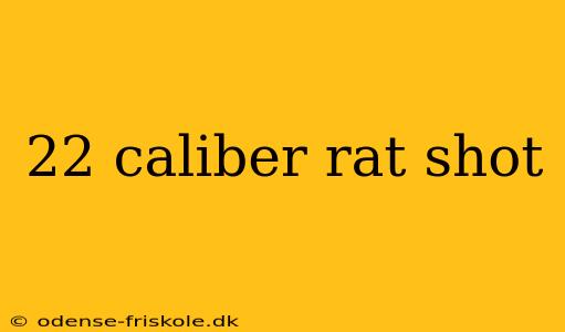 22 caliber rat shot