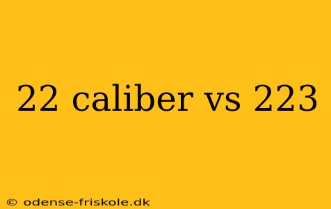 22 caliber vs 223