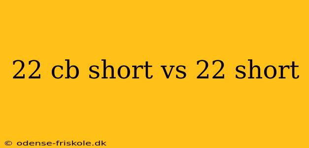 22 cb short vs 22 short