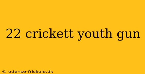 22 crickett youth gun