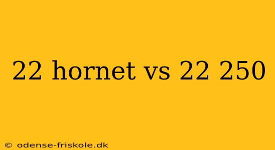 22 hornet vs 22 250