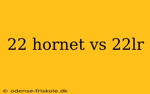 22 hornet vs 22lr