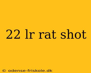 22 lr rat shot