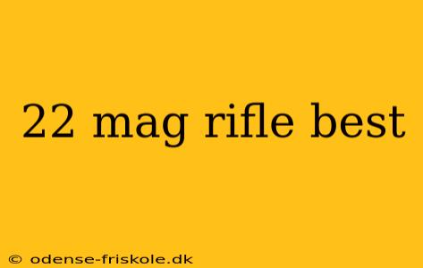 22 mag rifle best