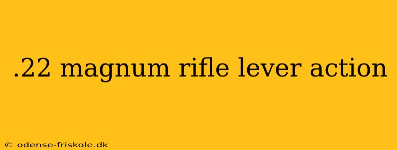 .22 magnum rifle lever action