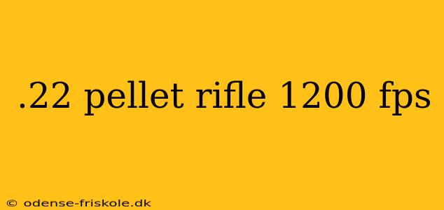 .22 pellet rifle 1200 fps