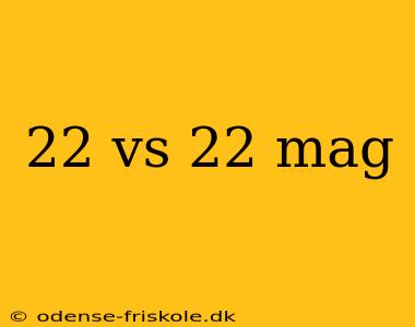 22 vs 22 mag