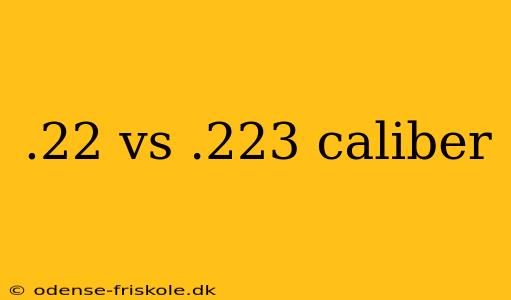 .22 vs .223 caliber