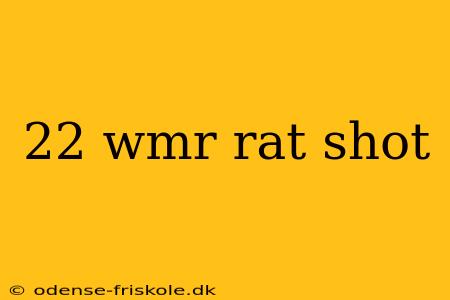 22 wmr rat shot