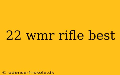 22 wmr rifle best