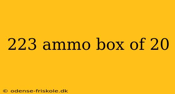 223 ammo box of 20