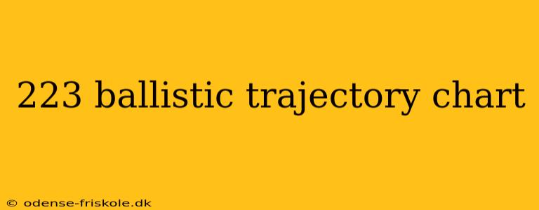 223 ballistic trajectory chart